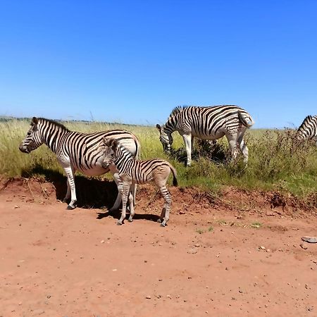 Sedgefield Lodge Witbank Eksteriør billede