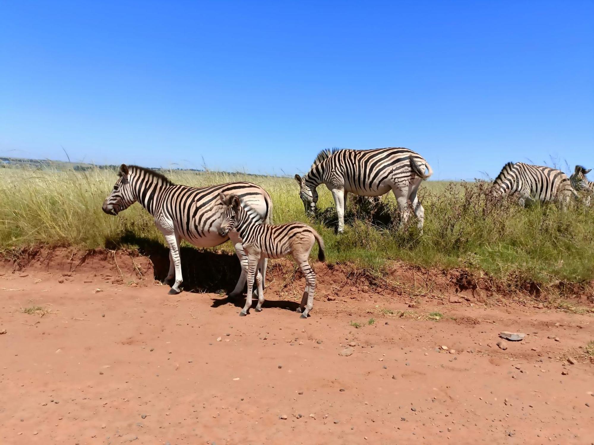Sedgefield Lodge Witbank Eksteriør billede